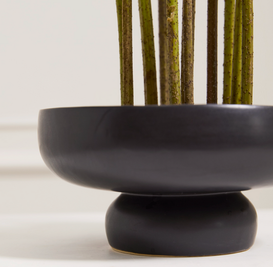 Black Compote Planter