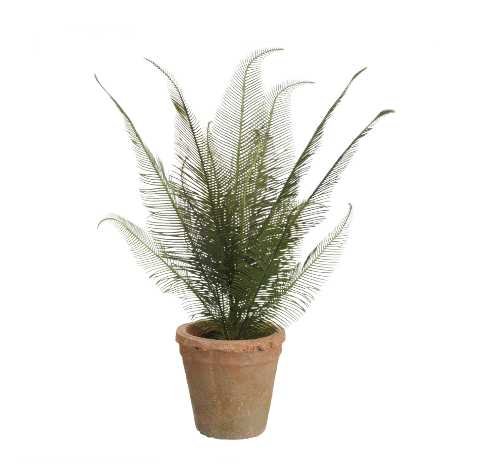 Faux Cycas Palm in Clay Pot