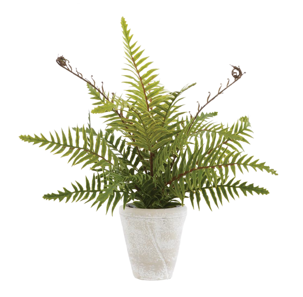 Faux Boston Fern in Cement Pot Green