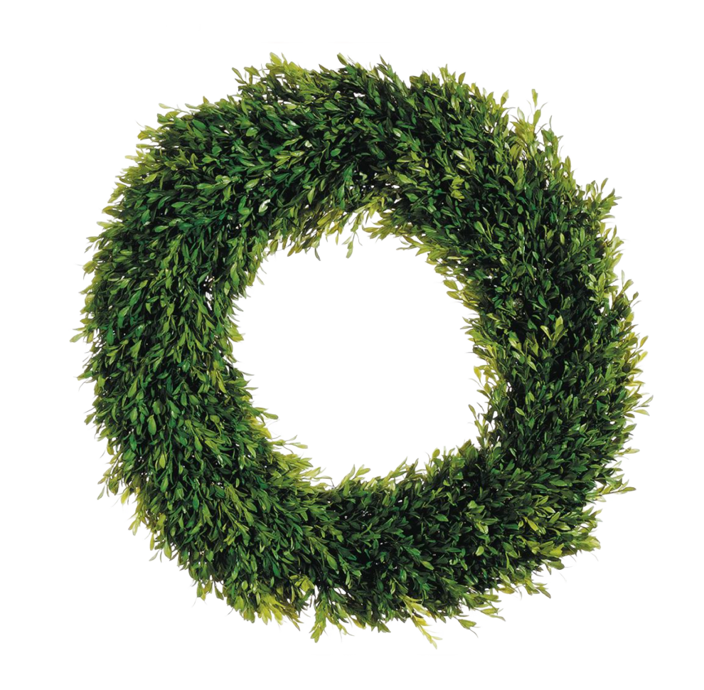 24" Tea Leaf Boxwood Wreath