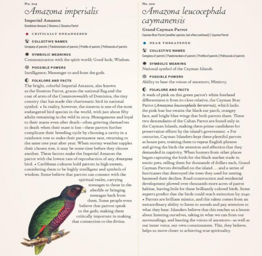 The Complete Language of Birds