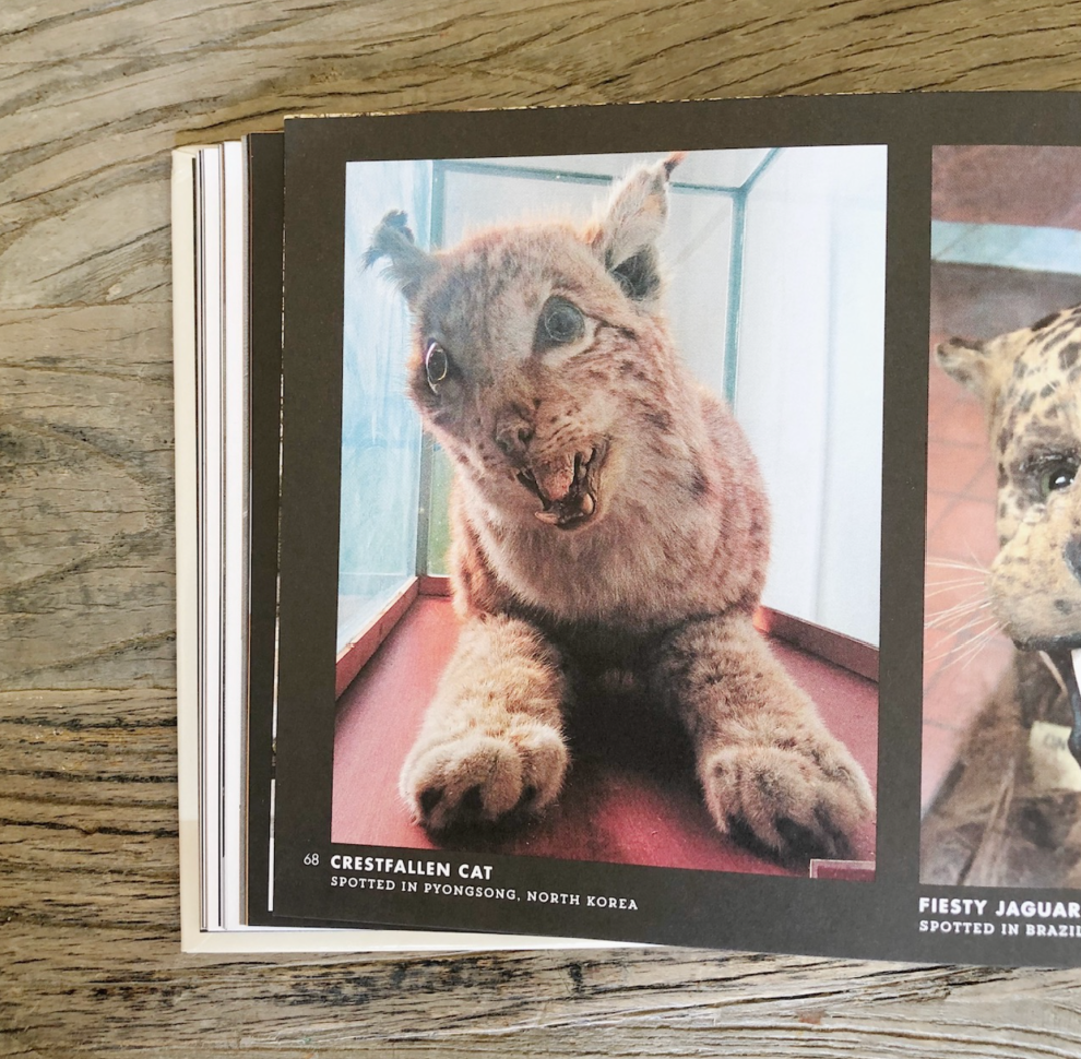 Crap Taxidermy