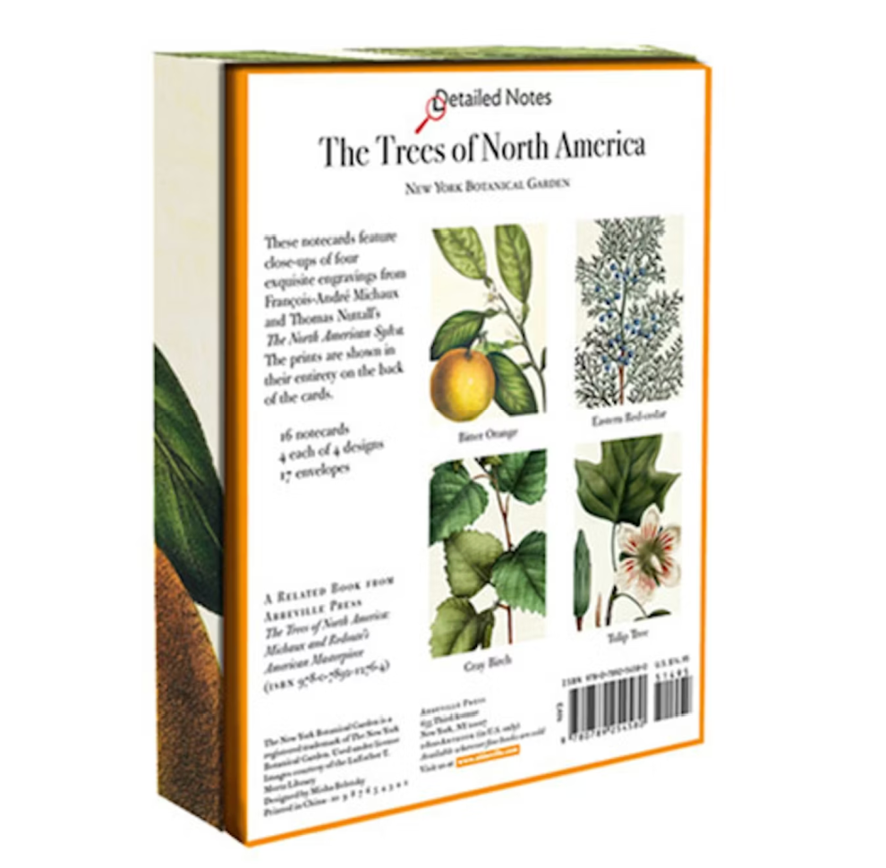 The Trees of North America Notecards