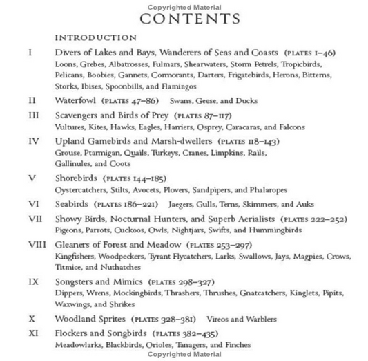 Audubon's Birds of America: The Baby Elephant Tiny Folio