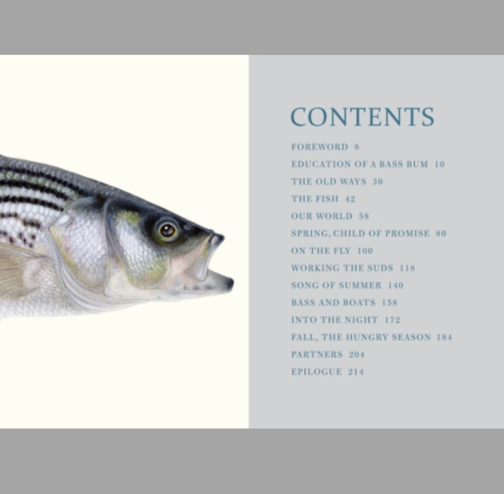 Seasons of the Striper