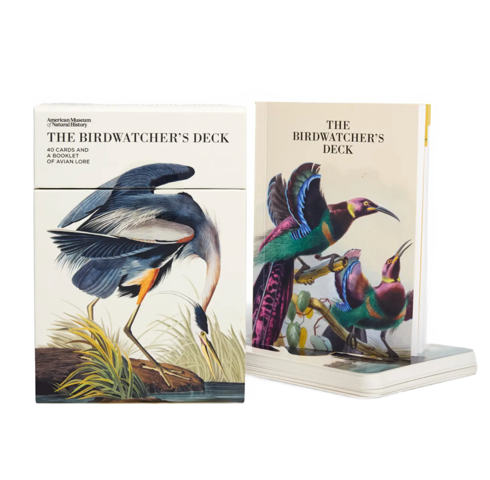 The Birdwatcher’s Deck