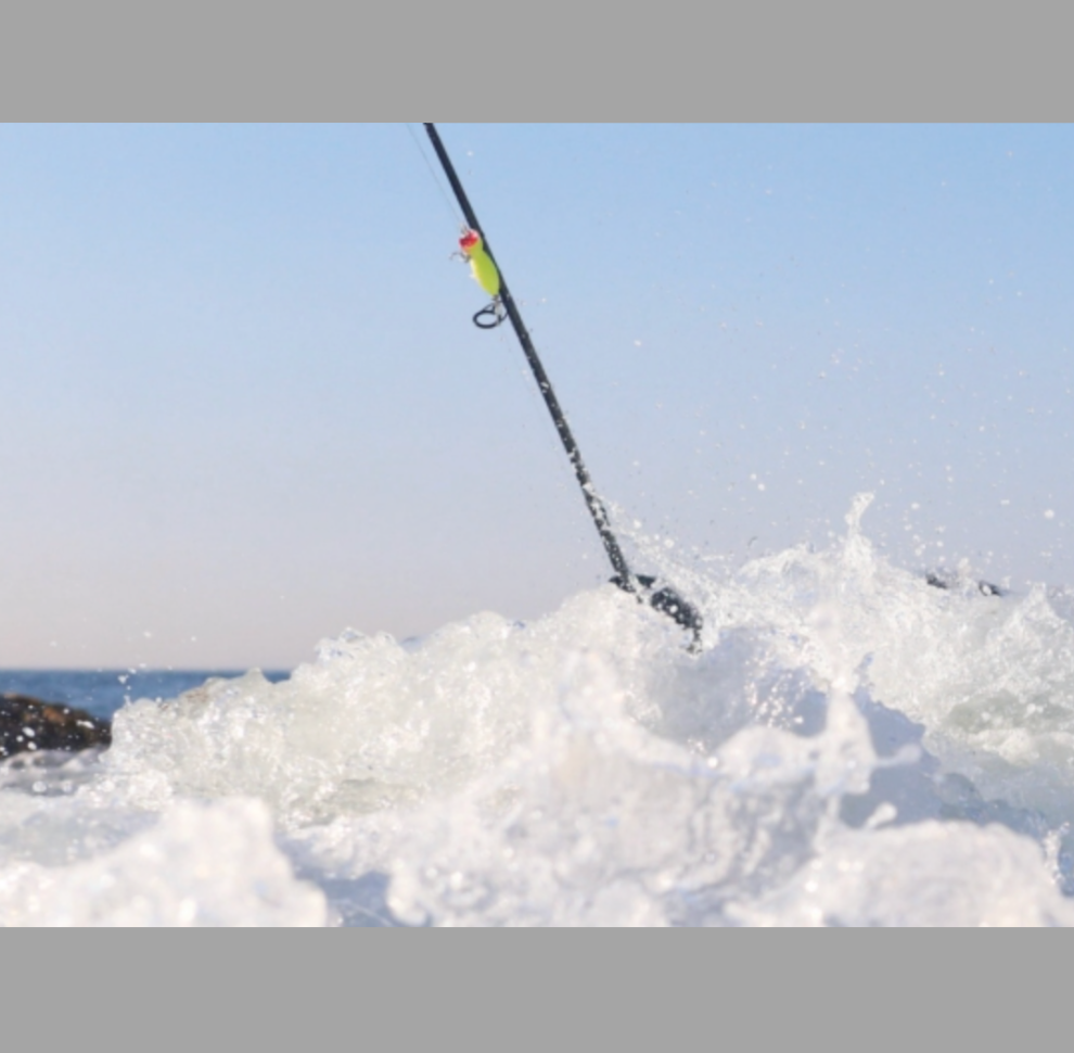 Seasons of the Striper