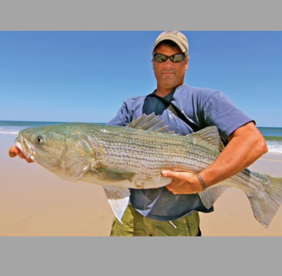 Seasons of the Striper