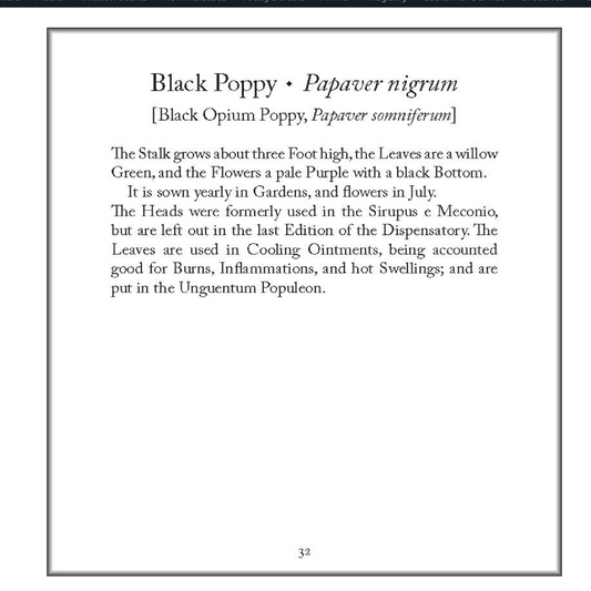 Healing Plants Tiny Folio