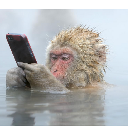 Mother: A Tribute to Mother Earth