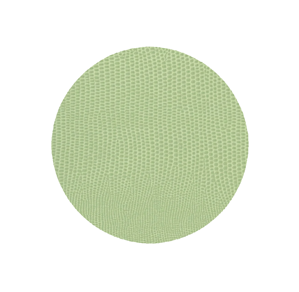 Moss Green Lizard Coaster