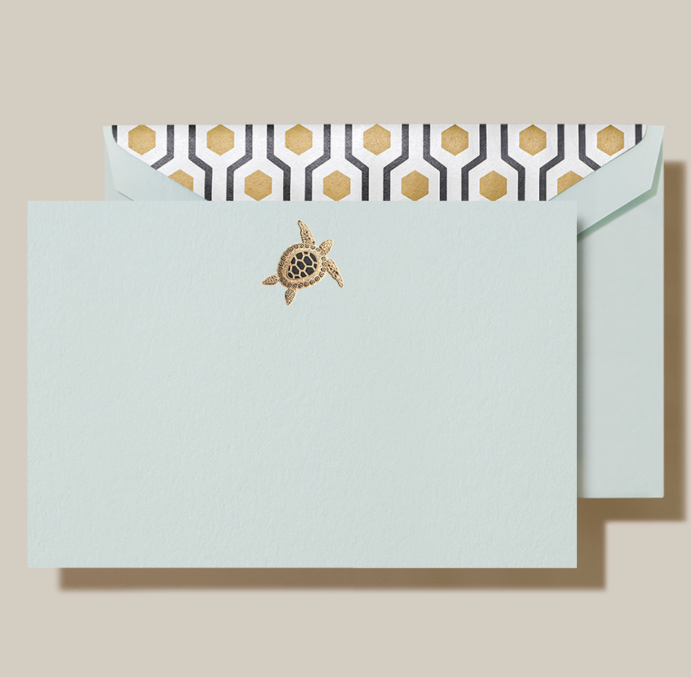 Sea Turtle Crane Notes