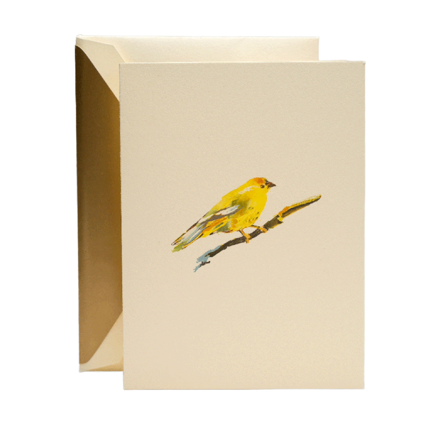 Brushstroke Canary Crane Notes