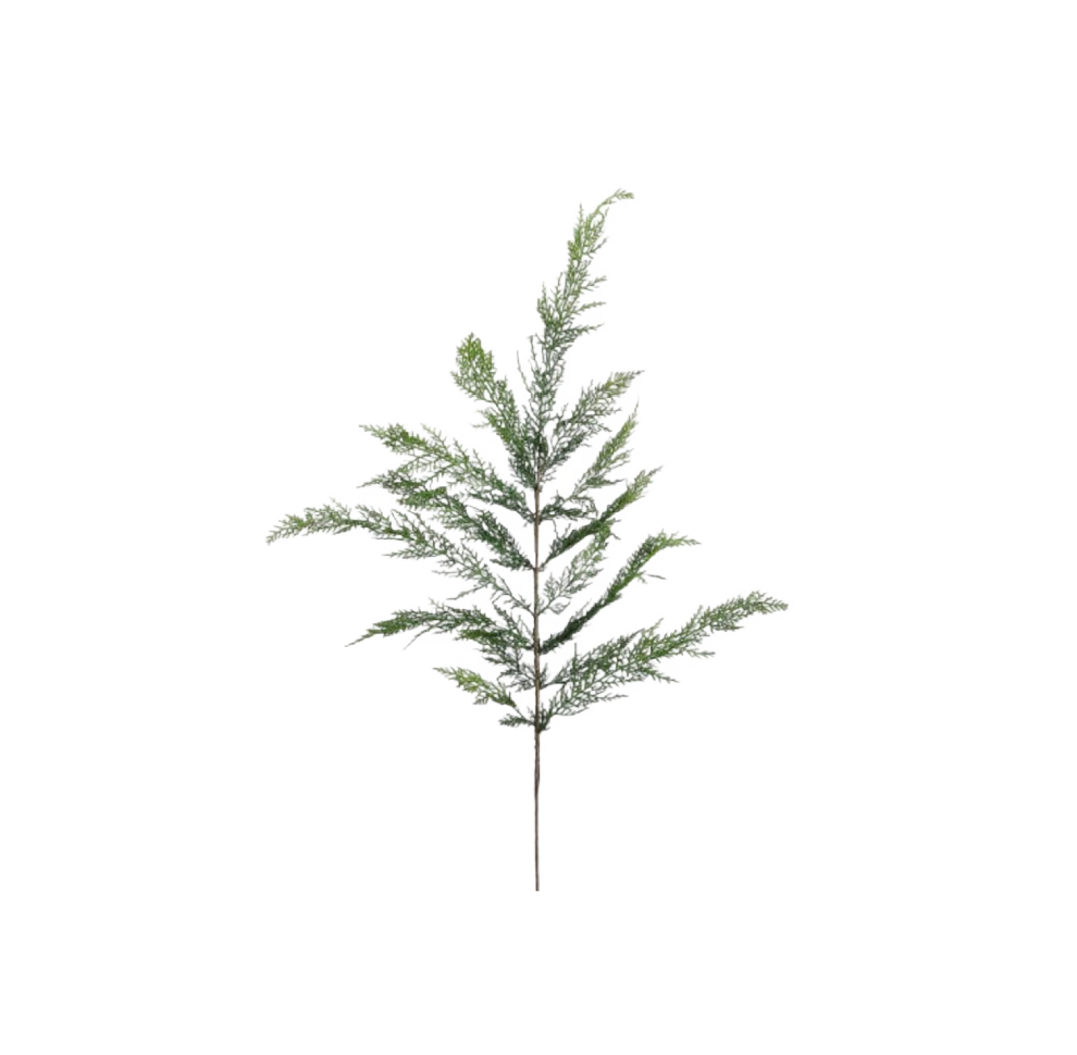 40" Cedar Spray Pick