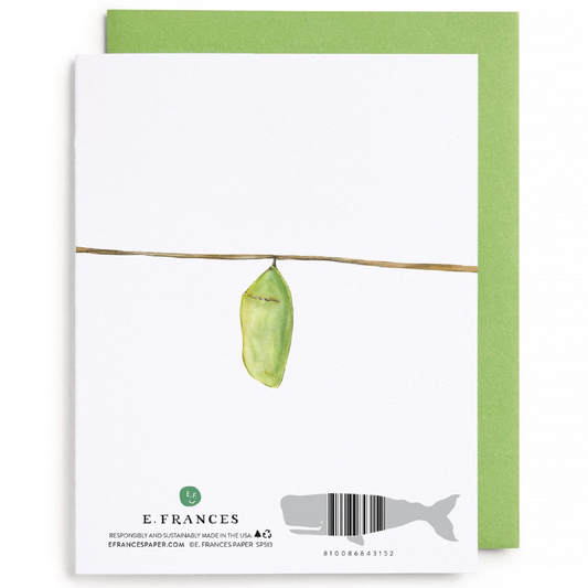Many Phases Greeting Card