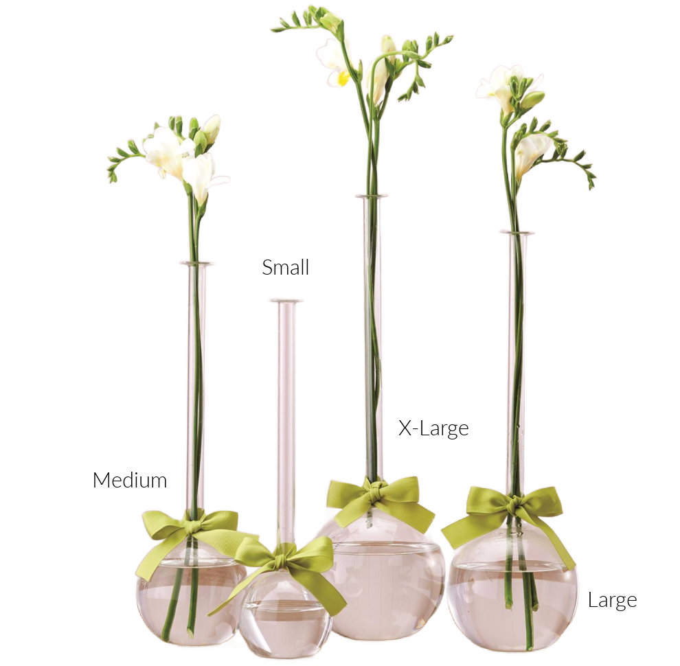 Sleek and Bubble Vase