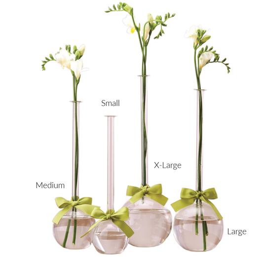 Sleek and Chic Glass Bubble Vase