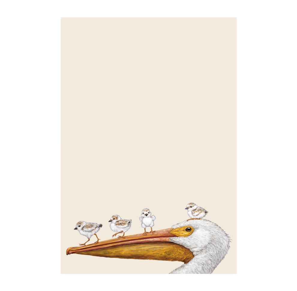 Flight School Notepad