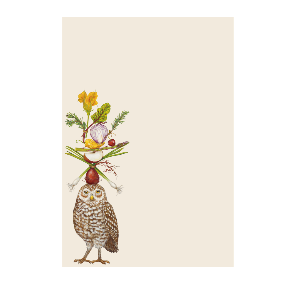 Vegetarian Owl Notepad
