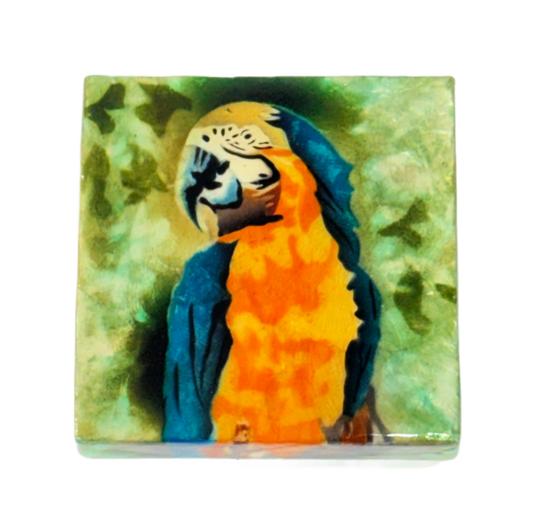 Parrot Capiz Shell Box