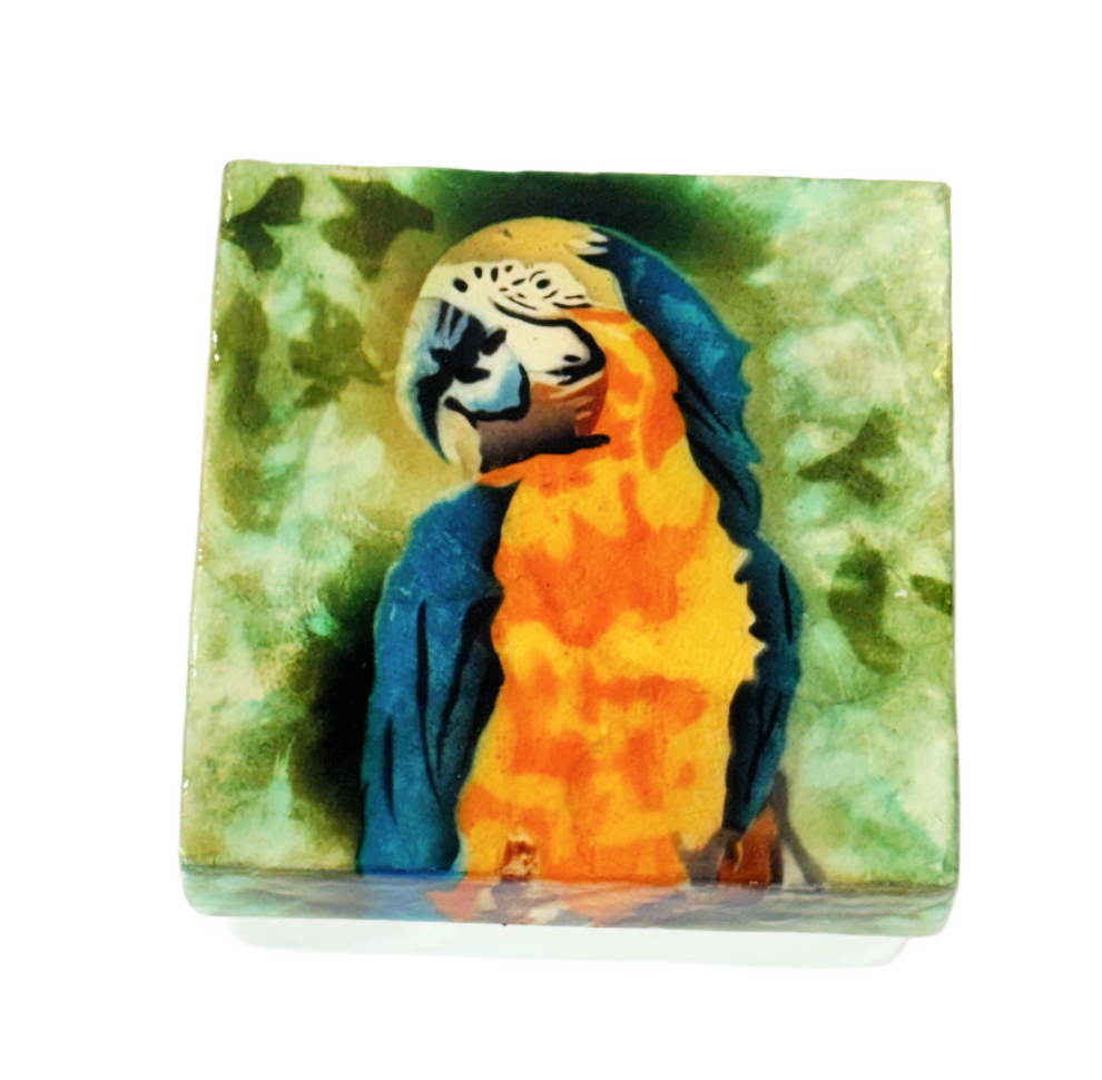 Parrot Capiz Shell Box