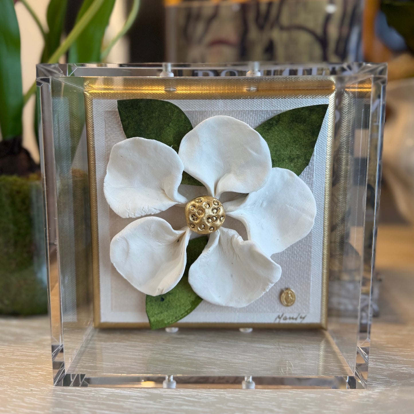 Mary Magnolia White 6x6 Shadowbox