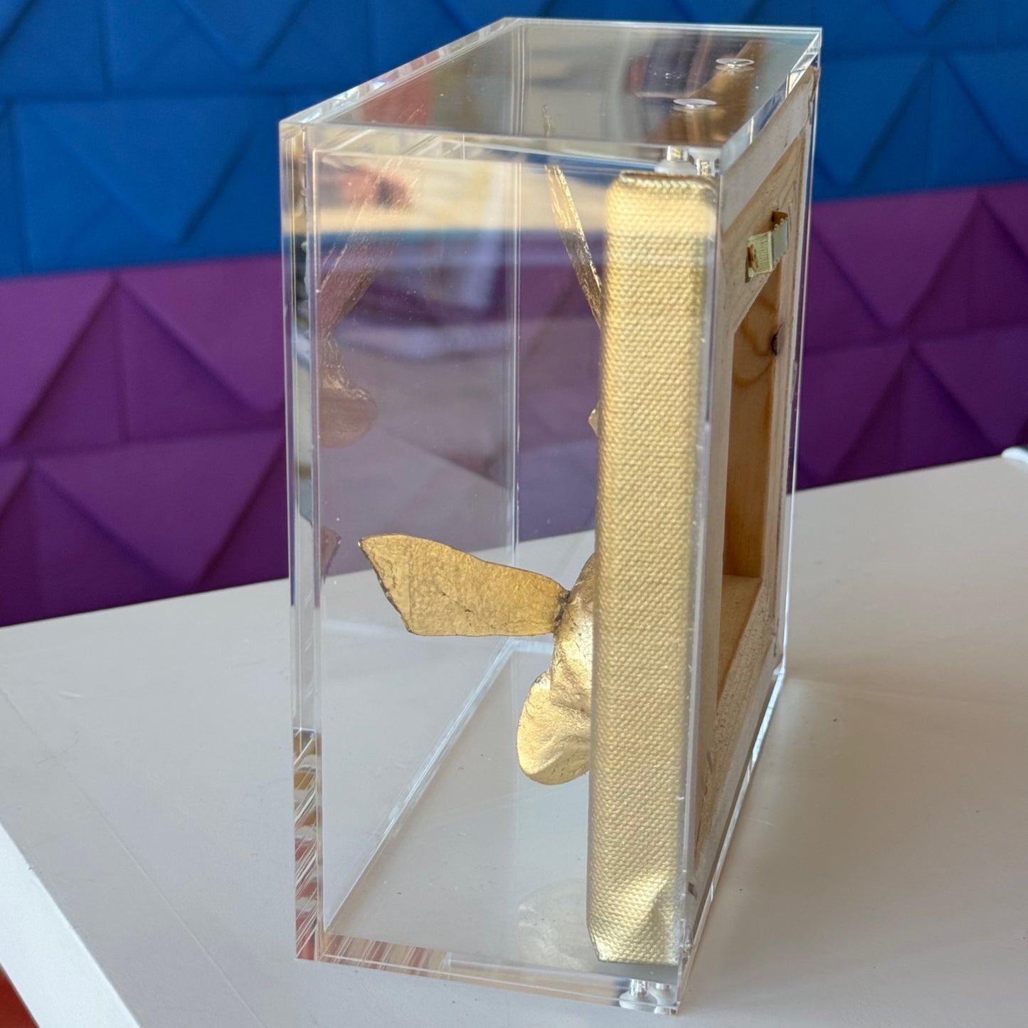 Hummingbird Gold Blush 6x6 Shadowbox