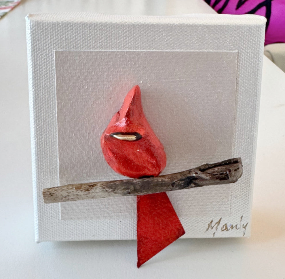 Redbird Cardinal 4x4 Canvas