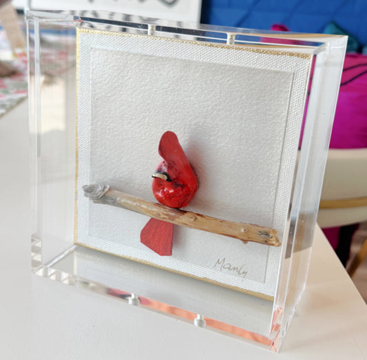 Redbird Cardinal 6x6 Shadowbox