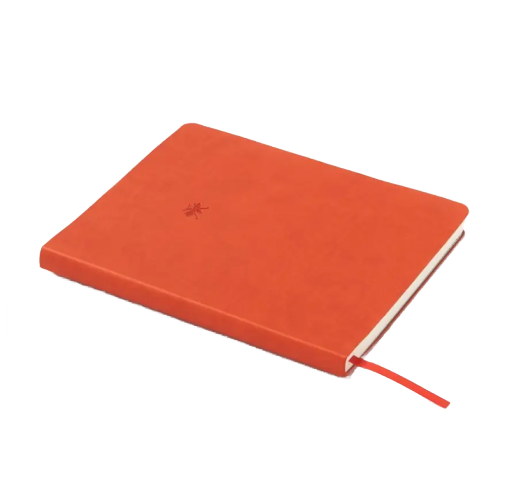 Large Orange Planner