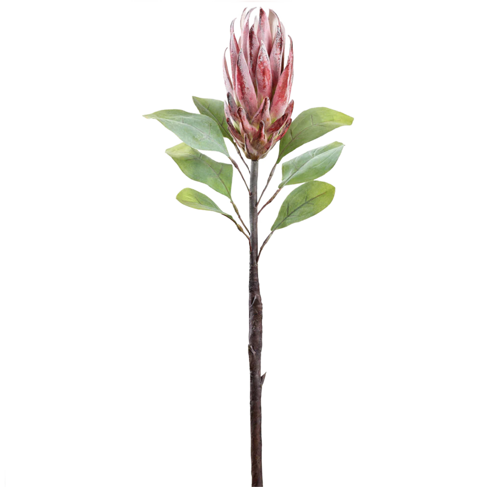 29" Fuchsia Protea