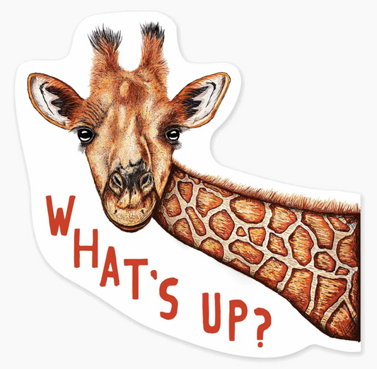 What's Up Sticker