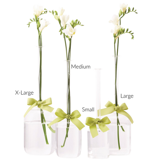 Sleek and Chic Jug Vase