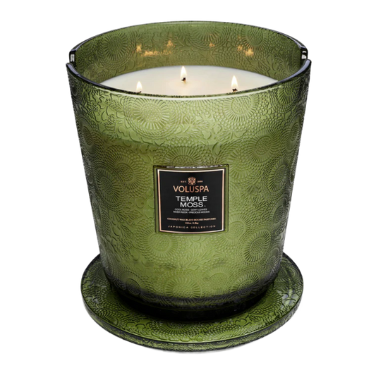 Temple Moss 5 Wick Voluspa Candle
