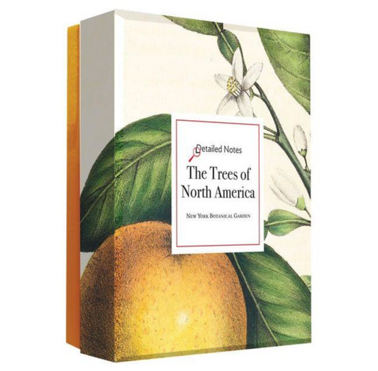The Trees of North America Notecards