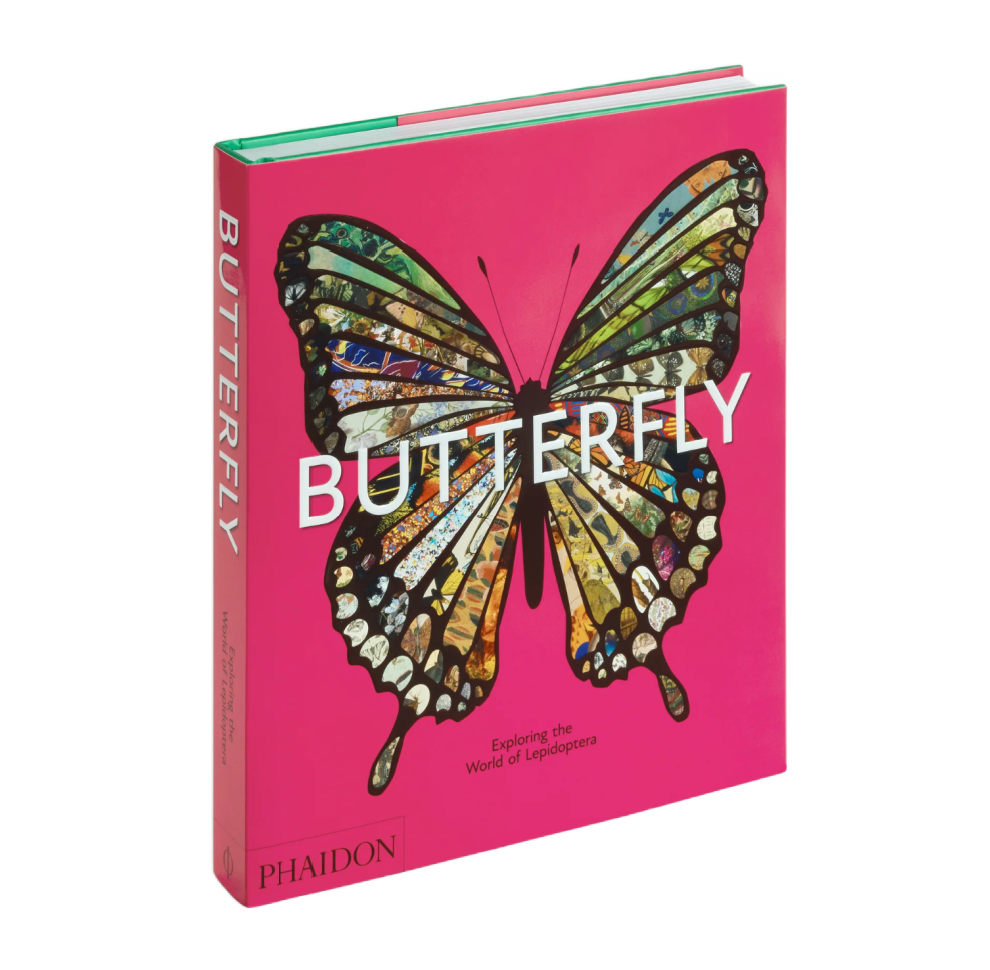 Butterfly: Exploring the World of Lepidoptera