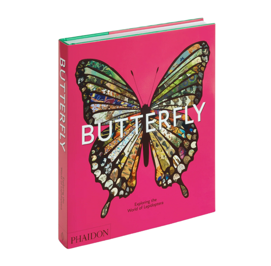 Butterfly: Exploring the World of Lepidoptera