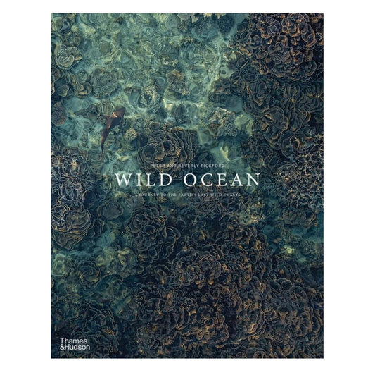 Wild Ocean