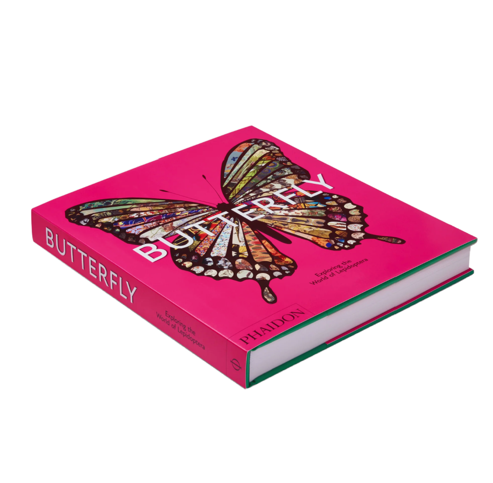 Butterfly: Exploring the World of Lepidoptera