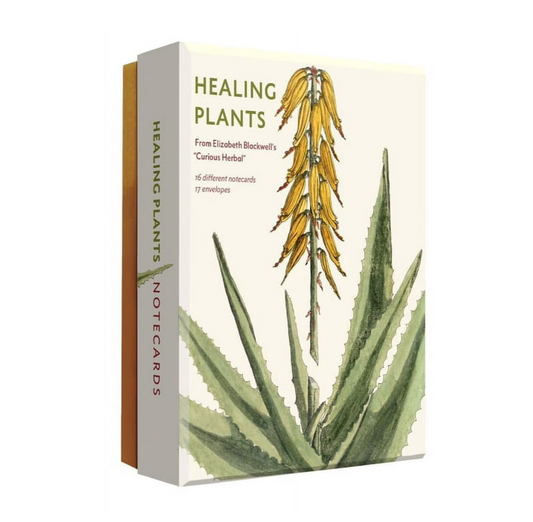 Healing Plant Notecards