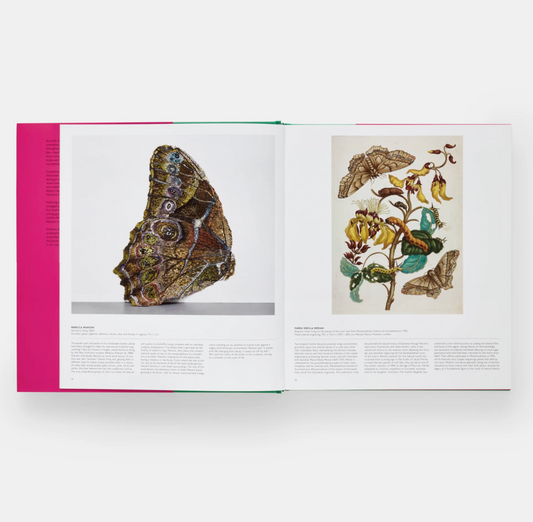 Butterfly: Exploring the World of Lepidoptera