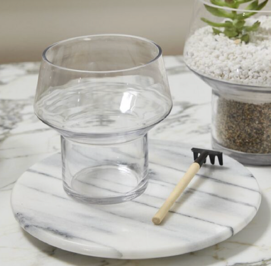 Fiction Terrarium