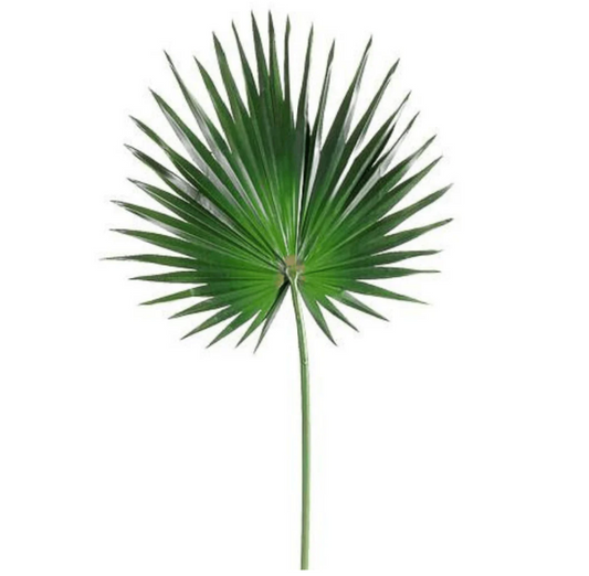 30" Fan Palm Spray
