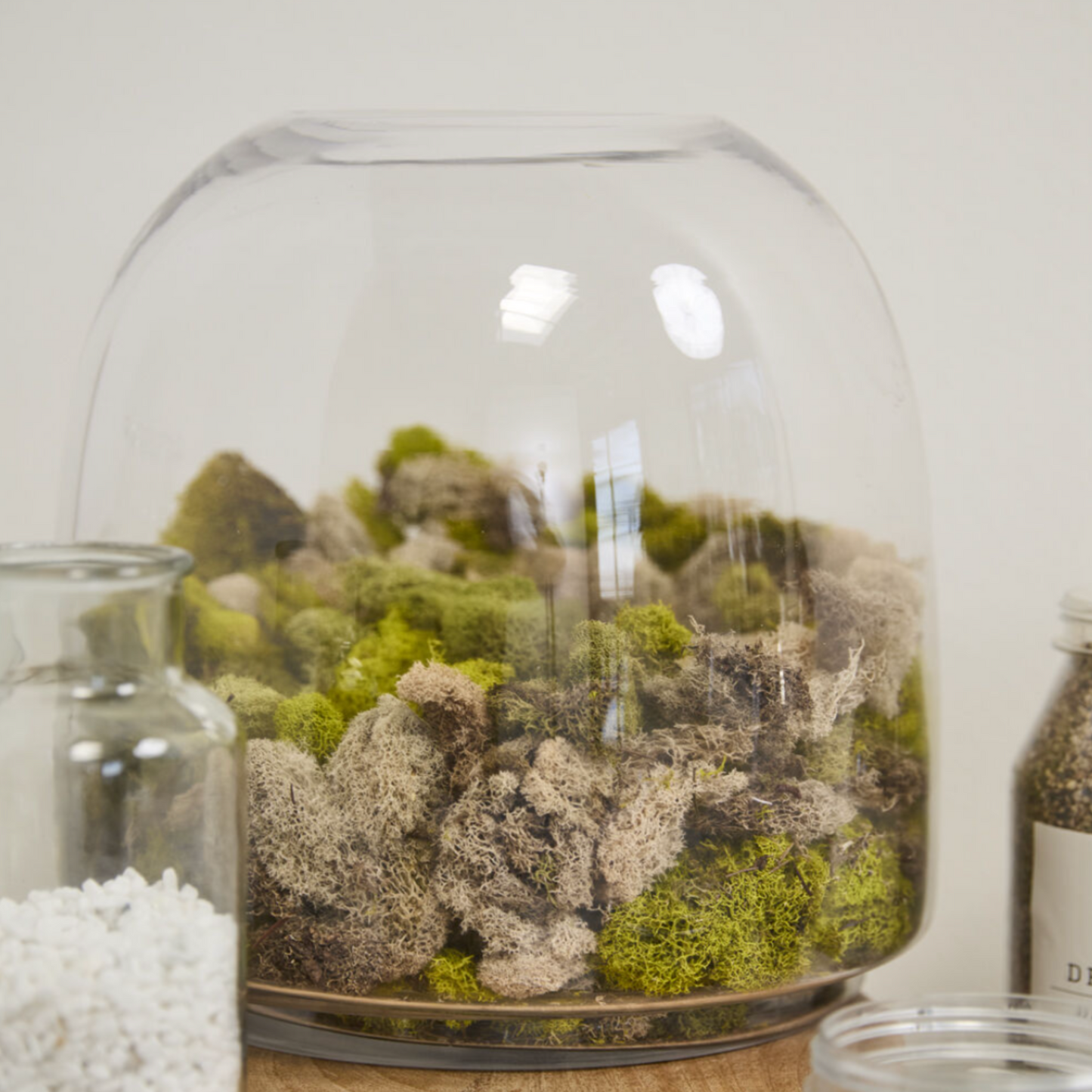 Med Terrarium