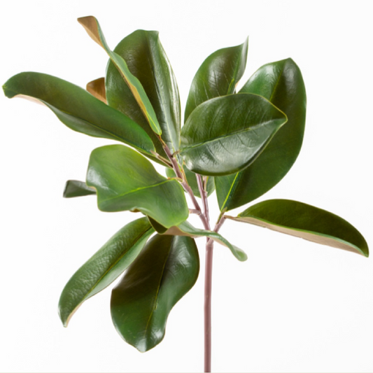 16" Magnolia Leaf Pick
