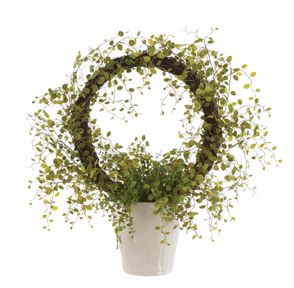 Faux Muehlenbeckia Wire in Cement Pot Green