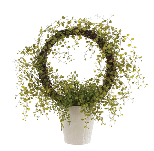 Faux Muehlenbeckia Wire in Cement Pot Green