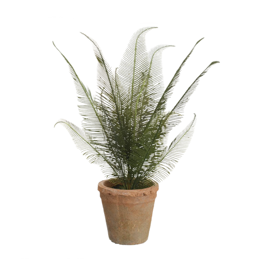 Faux Cycas Palm in Clay Pot