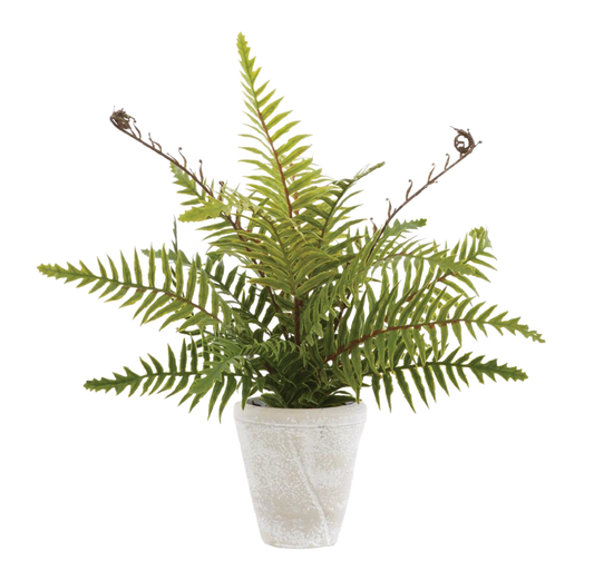 Faux Boston Fern in Cement Pot Green