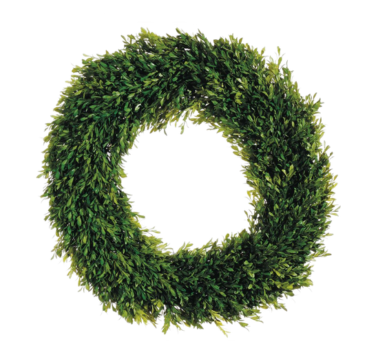 24" Tea Leaf Boxwood Wreath